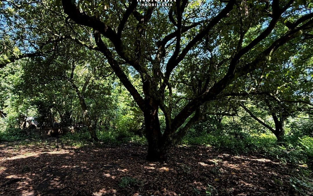 Terrenos en Venta en Nahuizalco