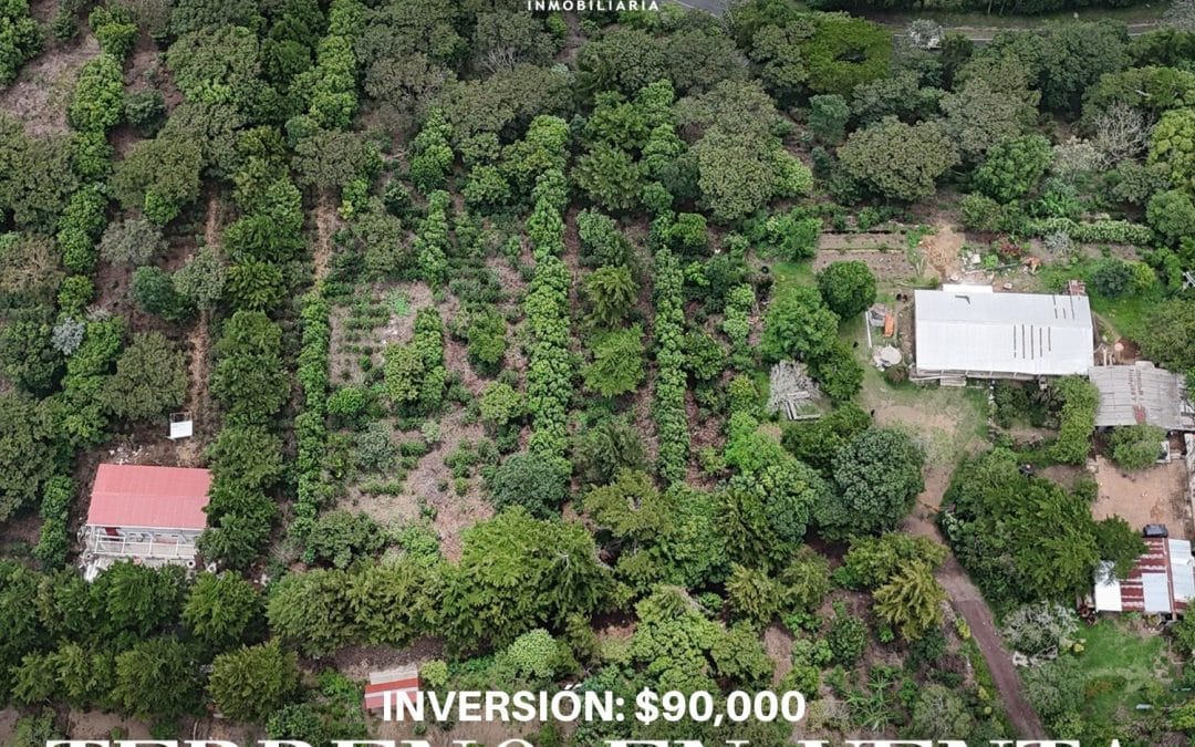 Terreno en venta en los Naranjos