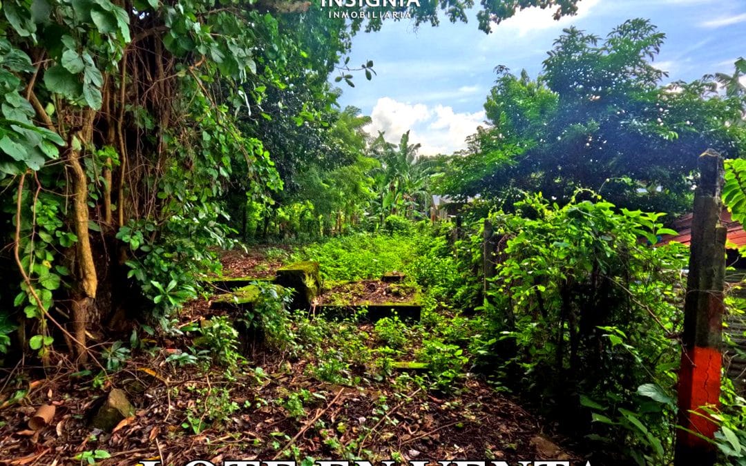 Lote en Izalco, Sonsonate