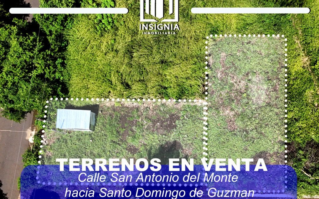2 Lotes en San Antonio Calle hacia Santo Domingo de Guzman, Sonsonate, El Salvador en venta