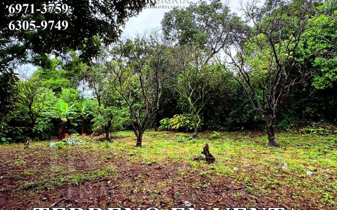 Terreno en Nahuizalco, Sonsonte
