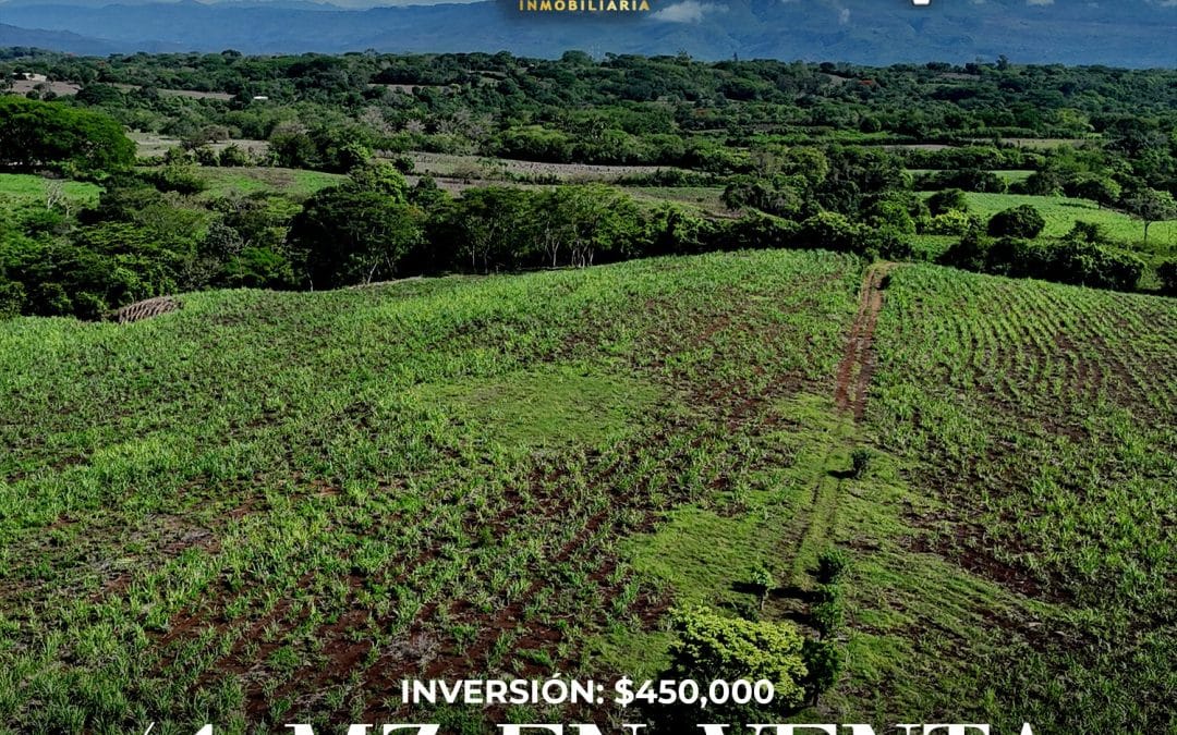 Venta de 41 manzanas en las Chinamas, Ahuachapán